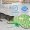 PounceMaster Smart Hide Seek Interactive Toy 5