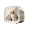 AeroDry Elite UltraQuiet Pet Grooming Studio 6