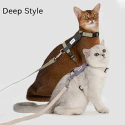 eco-chic rpet feline adventure set