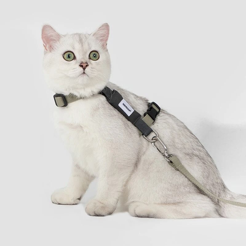 EcoChic RPET Feline Adventure Set 4