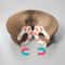 AeroFlex Kinetic Cat Scratcher Toy 4