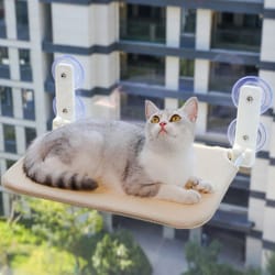 aero-view window-mount folding perch