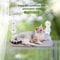AeroView WindowMount Folding Perch 3