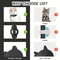 Smart GPS Tracking Collar 1