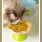 Elevated Floral Ceramic Cat Bowl 5