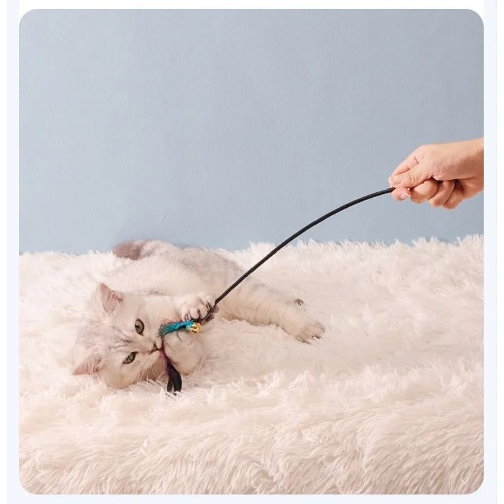 5Piece Interactive Feather Wand Set 4