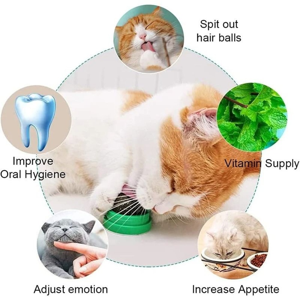 Natural Rotating Catnip Wall Balls 2