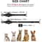 Reflective AirTag QR Safety Collar 1