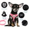 EscapeProof Breathable Mesh Cat Harness 2