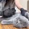 AllInOne Silicone Grooming Bathing Glove 3