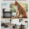 DownyPaws 25L Wireless MotionSensor Pet Fountain 1