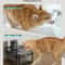 DownyPaws 25L Wireless MotionSensor Pet Fountain 4