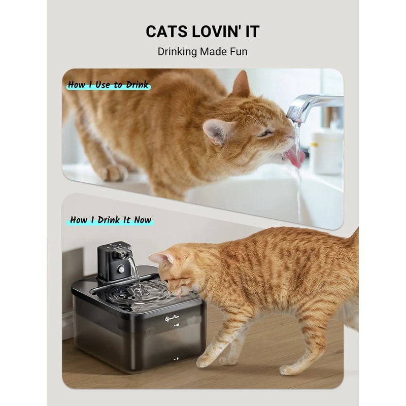 DownyPaws 25L Wireless MotionSensor Pet Fountain 4