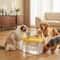 Automatic LiveFlow Circulating Pet Fountain 4