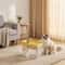 Automatic LiveFlow Circulating Pet Fountain 5