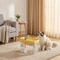 Automatic LiveFlow Circulating Pet Fountain 5