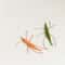 Woolen Prawn Interactive Catnip Toy 1