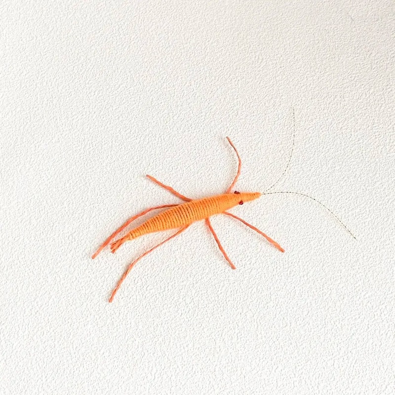Woolen Prawn Interactive Catnip Toy 3
