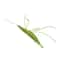 Woolen Prawn Interactive Catnip Toy 6