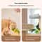 Simulation Chirping Plush Bird Toy 2