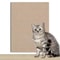 SelfAdhesive Guard DIY Scratch Carpet 11