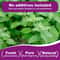 AromaticPotency Premium Catnip Ja 2