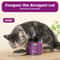 AromaticPotency Premium Catnip Ja 4