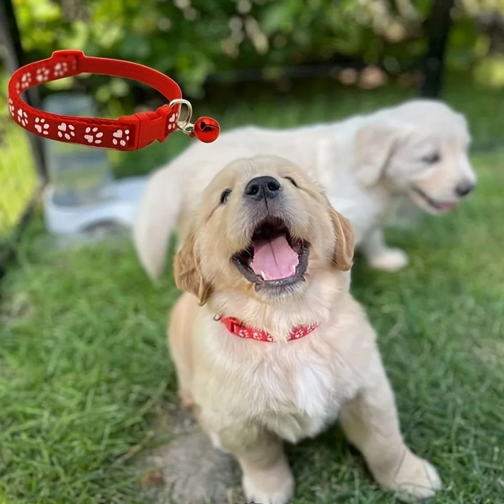 PrecisionID Whelping Puppy Collar Set 5
