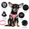 AeroMesh Ergonomic EscapeResistant Harness 2