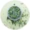 AeroLeaf Organic HighPotency Catnip 1