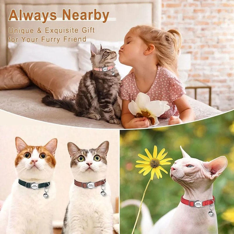 StrucGuard Personalized Safety Collar 4