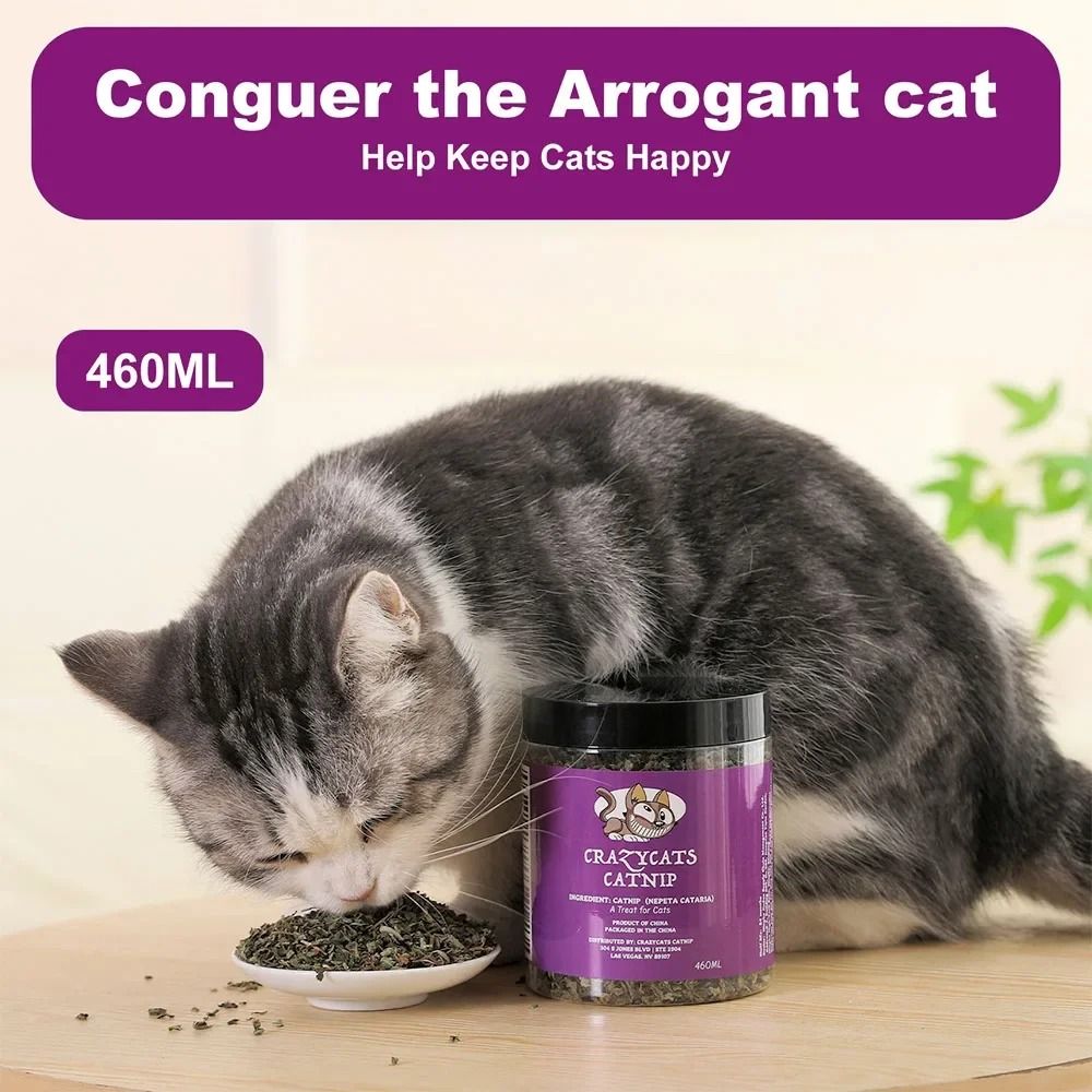 100 Natural Organic Catnip 4