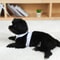 Angel Wing Pet Harness And Leash Set 3