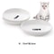 WhiskerFriendly Porcelain Snack Platter 11