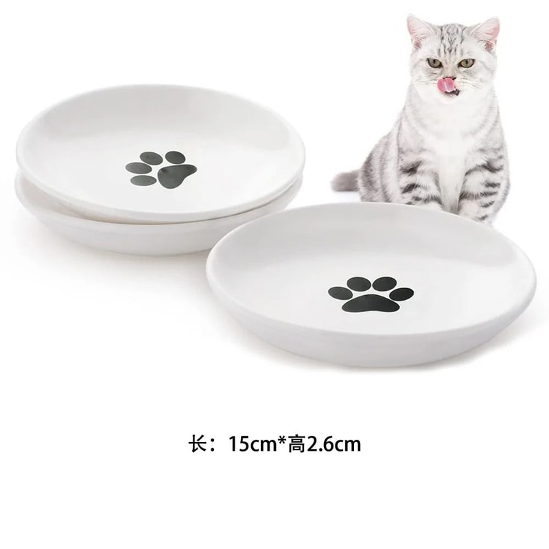 WhiskerFriendly Porcelain Snack Platter 6