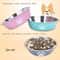Stainless Steel AntiSlip Pet Bowl 0