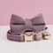 Adjustable Bowknot Safety Collar With Custom ID 19