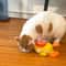 Yellow Duck Interactive Puzzle Feeder 2
