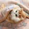 UltraSoft Velvet Pet Comfort Blanket 0