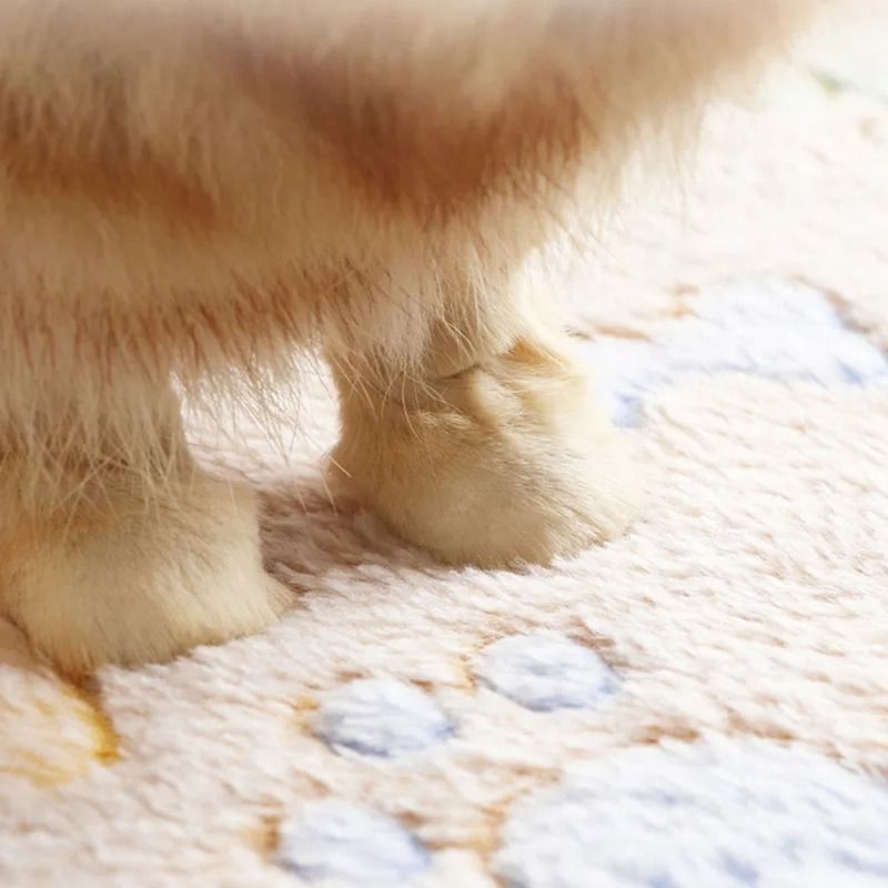 UltraSoft Velvet Pet Comfort Blanket 1