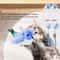 Automatic Retractable DoorHanging Kitten Toy 1