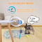 Automatic Retractable DoorHanging Kitten Toy 2