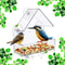 Crystal Clear WindowMount Bird Feeder 0
