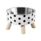 Modern Elevated Stainless Steel PolkaDot Bowl 6