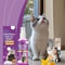 MultiPet Pheromone Comfort Calming Spray 3