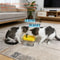 QuietFlow 15L Automatic Circulation Fountain 2