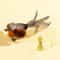 Hanging Aerodynamic Bird Doorway Teaser 8