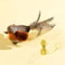 Hanging Aerodynamic Bird Doorway Teaser 8