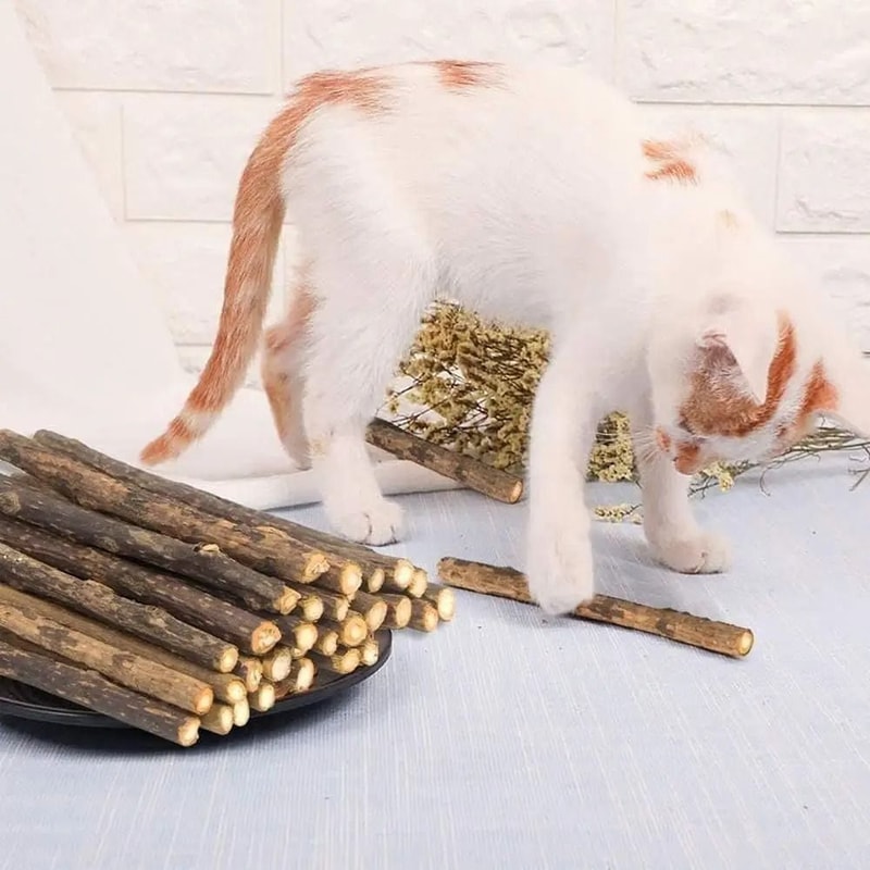 Natural Silvervine Catnip OralCare Chew Sticks 1
