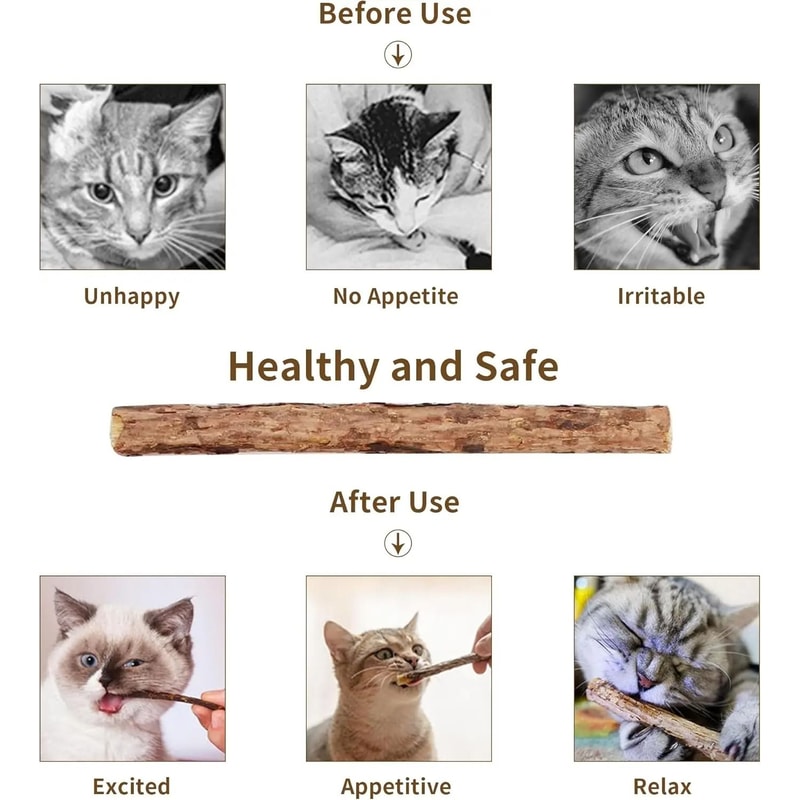 Natural Silvervine Catnip OralCare Chew Sticks 2